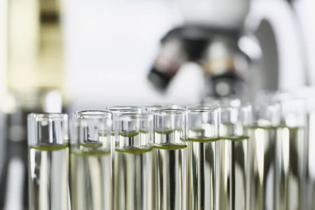 Many glass test tubes with yellow liquid standing in laboratory closeup. Urine analysis concept