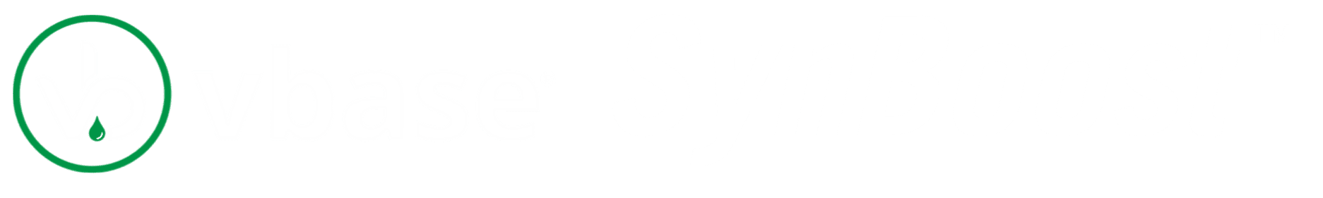VBASE SynBoost(TM)